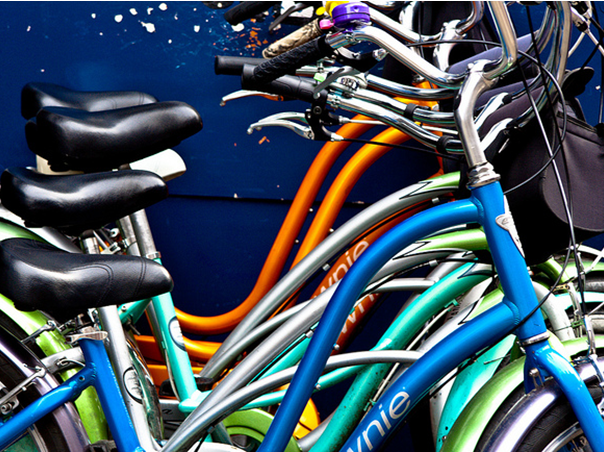 Fietsspeurtocht Apeldoorn