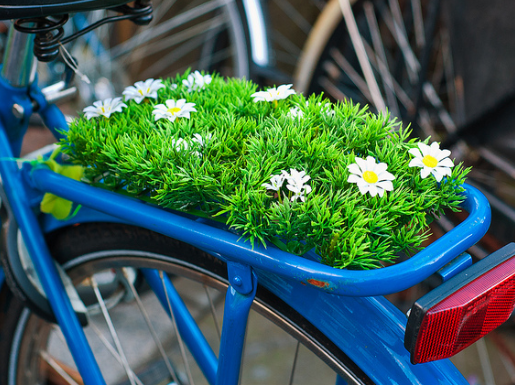 Kleine Fietstour
