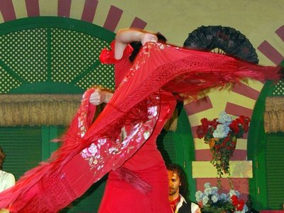 Workshop Flamenco Dansen in Zwolle