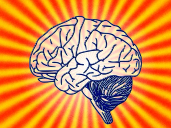 Slimste Mens Dinerspel Zwolle